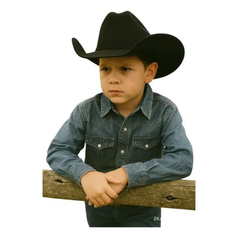 Sombrero Vaquero Texana Para Niño Larry Men Hats #mlpos_1 | Color: Negro #color_negro #sku_mlm1457060060-187319838361 #sku_mlm1457060060-187319838363 #sku_mlm1457060060-187319838365 #sku_mlm1457060060-187319838367