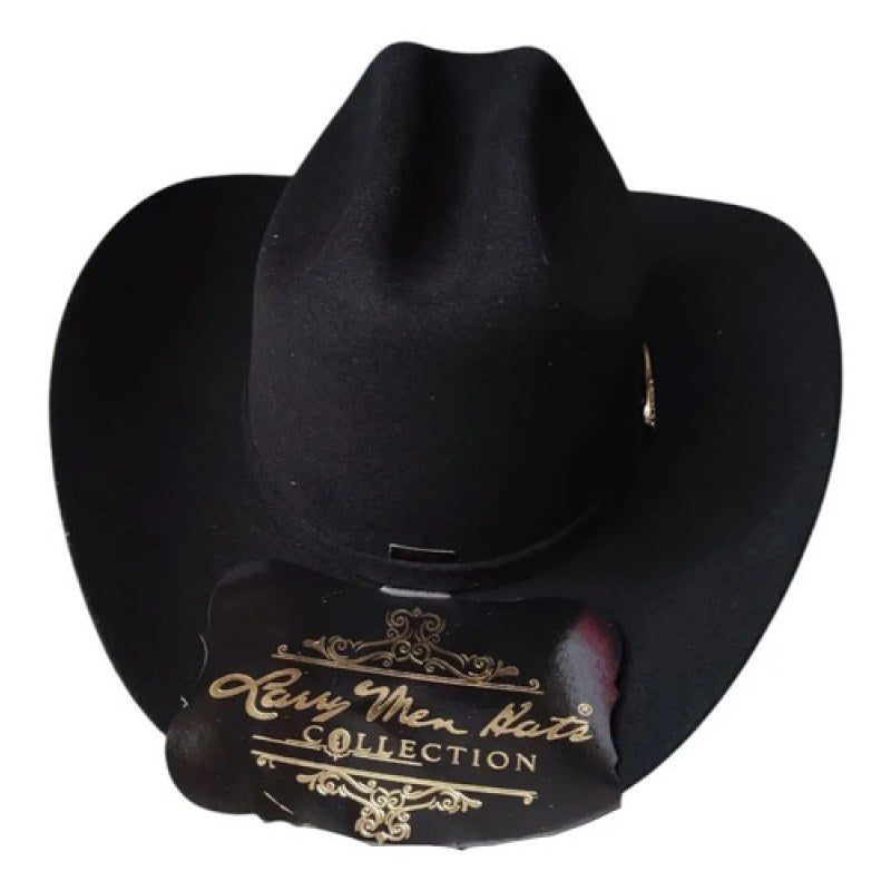 Sombrero Vaquero Texana Para Niño Larry Men Hats #mlpos_2 | Color: Negro #color_negro #sku_mlm1457060060-187319838361 #sku_mlm1457060060-187319838363 #sku_mlm1457060060-187319838365 #sku_mlm1457060060-187319838367