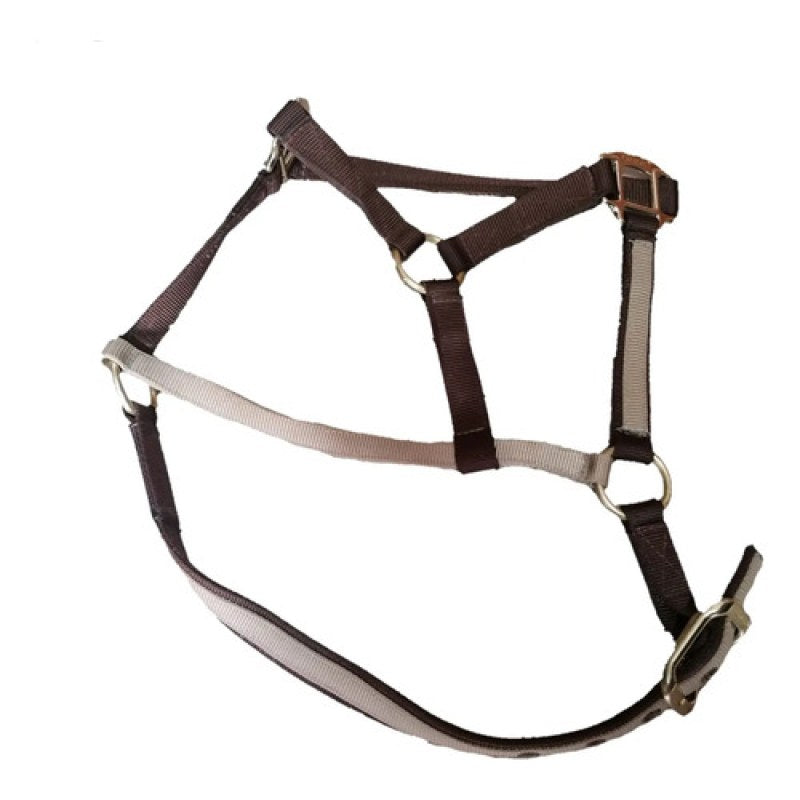 Accesorio Almartigon Para Caballo #mlpos_1 | Color: Beige/ Cafe #color_beige_cafe | Talla: Unitalla #sku_almartigonbg