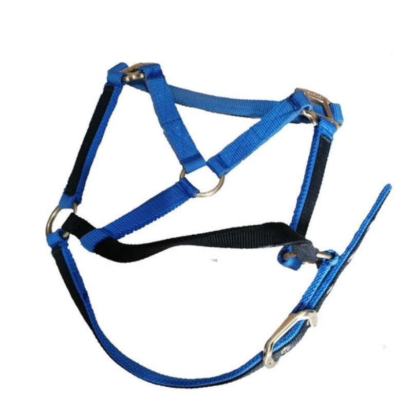 Accesorio Almartigon Para Caballo #mlpos_2 | Color: Azul/Negro #color_azulnegro | Talla: Unitalla #sku_almartigonazl