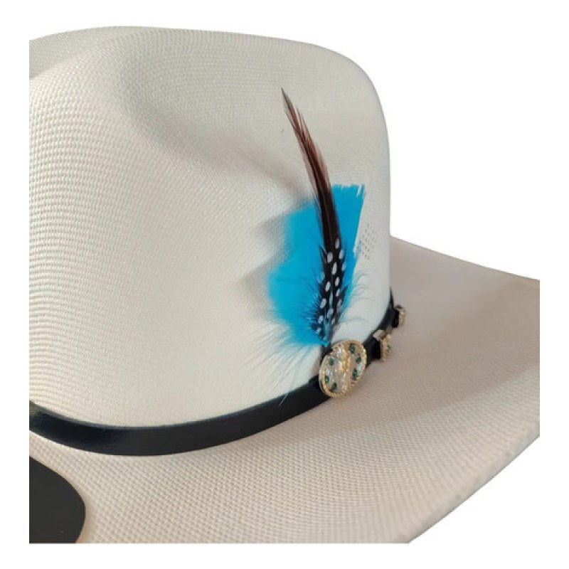 Accesorio Pluma Decorativa Para Sombrero Texana #mlpos_14 #mlitem_MLM5770001450 | Color: Cielo #color_cielo #sku_plumacielo