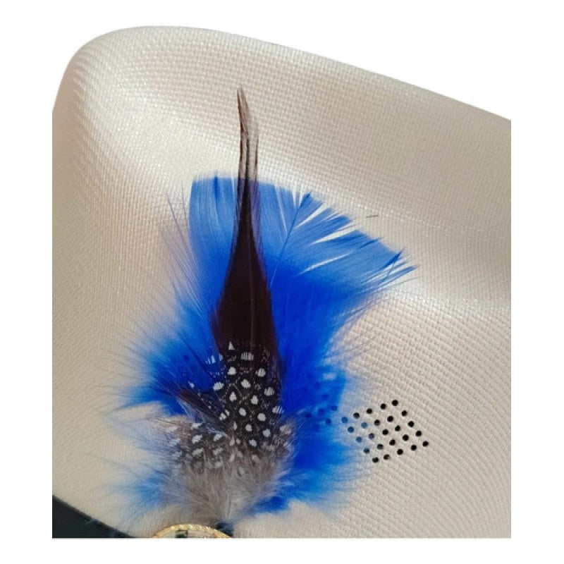 Accesorio Pluma Decorativa Para Sombrero Texana #mlpos_2 #mlitem_MLM3168644327 | Color: Azul Rey #color_azul_rey #sku_plumaazlry