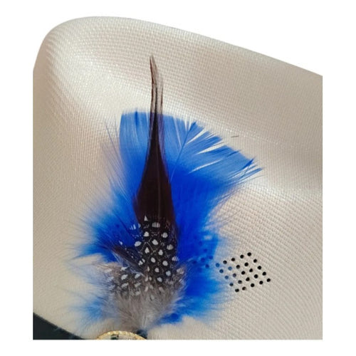 Accesorio Pluma Decorativa Para Sombrero Texana #mlpos_2 #mlitem_MLM3168644327 | Color: Azul Rey #color_azul_rey #sku_plumaazlry