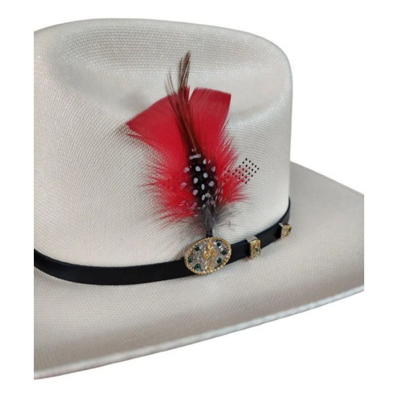 Accesorio Pluma Decorativa Para Sombrero Texana #mlpos_20 #mlitem_MLM5770001454 | Color: Rojo #color_rojo #sku_plumarj