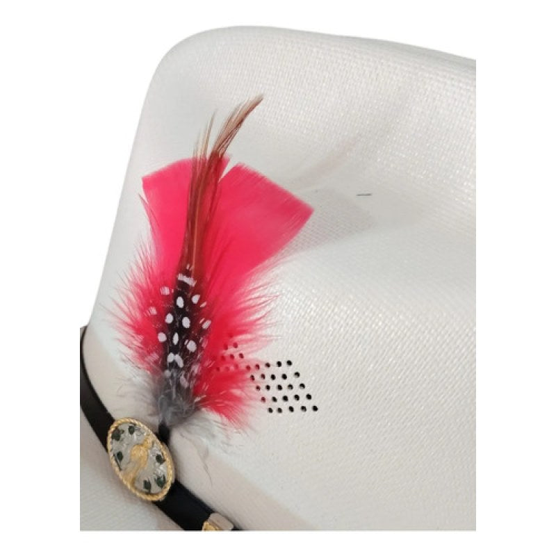 Accesorio Pluma Decorativa Para Sombrero Texana #mlpos_21 #mlitem_MLM5770001454 | Color: Rojo #color_rojo #sku_plumarj