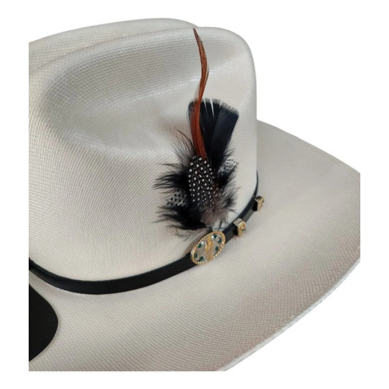 Accesorio Pluma Decorativa Para Sombrero Texana #mlpos_23 #mlitem_MLM5770046474 | Color: Negro #color_negro #sku_plumang