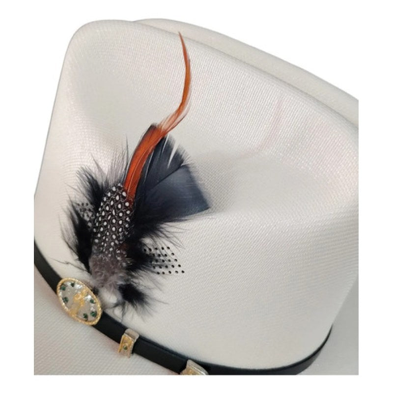 Accesorio Pluma Decorativa Para Sombrero Texana #mlpos_24 #mlitem_MLM5770046474 | Color: Negro #color_negro #sku_plumang