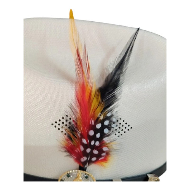 Accesorio Pluma Decorativa Para Sombrero Texana #mlpos_26 #mlitem_MLM5770046476 | Color: Multicolor #color_multicolor #sku_plumamlt