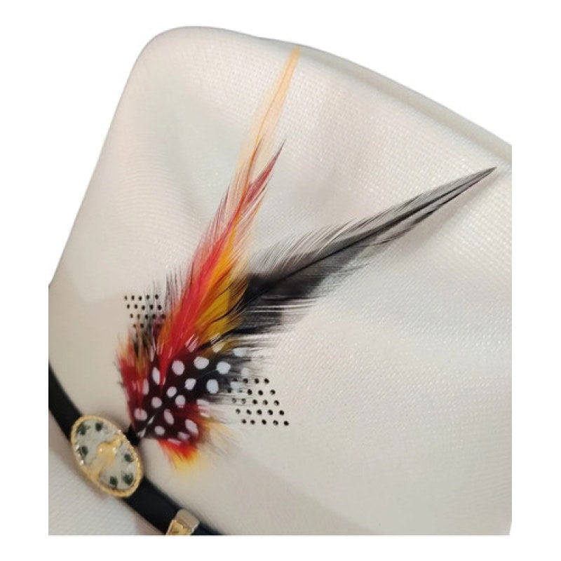 Accesorio Pluma Decorativa Para Sombrero Texana #mlpos_27 #mlitem_MLM5770046476 | Color: Multicolor #color_multicolor #sku_plumamlt