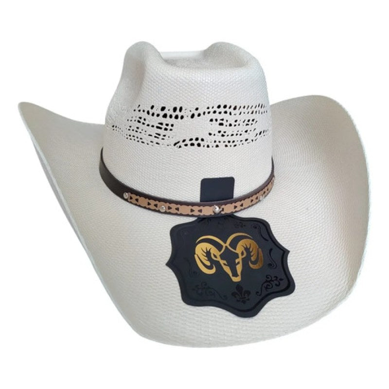 Sombrero Lona Ram Wild Hats Vaquero Ventilado Randado #mlpos_7 #mlitem_MLM5217938230 | Color: Chihuahua #color_chihuahua | Talla: 57 (7 1/8) #sku_somchh57 #mlitem_MLM2878207893 #sku_somchh59 #mlitem_MLM2878207895 #sku_somchh58 #mlitem_MLM2878189871 #sku_somchh56 #mlitem_MLM2878207891 #sku_somchh60